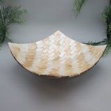 Decorative Abalone Shell Dish