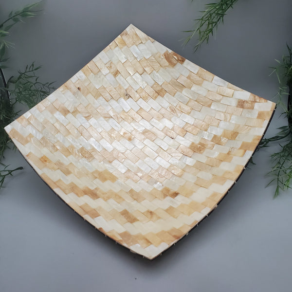 Decorative Abalone Shell Dish