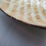 Decorative Abalone Shell Dish