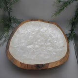 Large Decorative Abalone Shell and Wood Dish