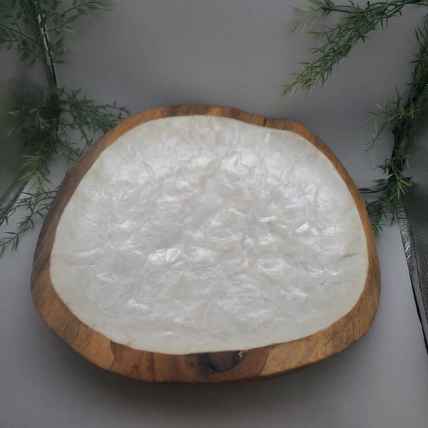 Large Decorative Abalone Shell and Wood Dish