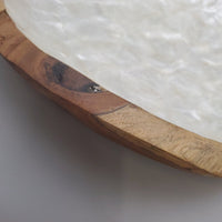 Large Decorative Abalone Shell and Wood Dish