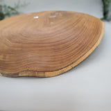 Large Decorative Abalone Shell and Wood Dish