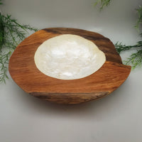 Large Decorative Abalone Shell and Wood Dish