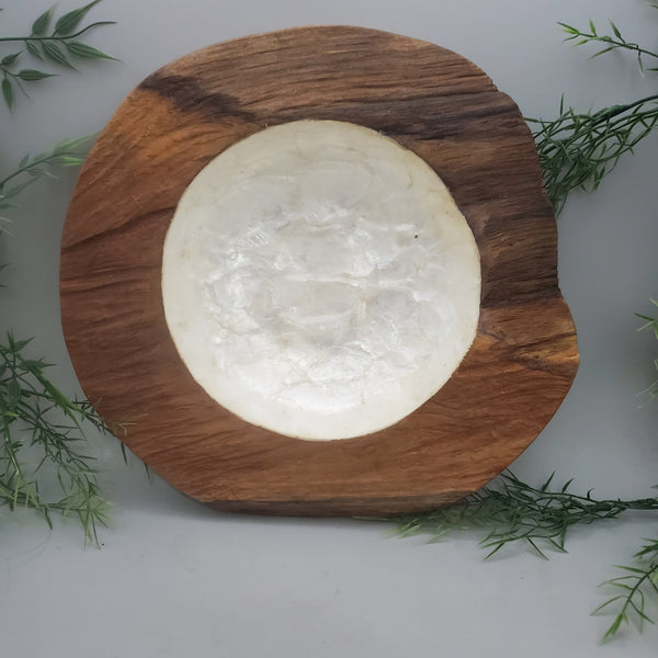 Large Decorative Abalone Shell and Wood Dish