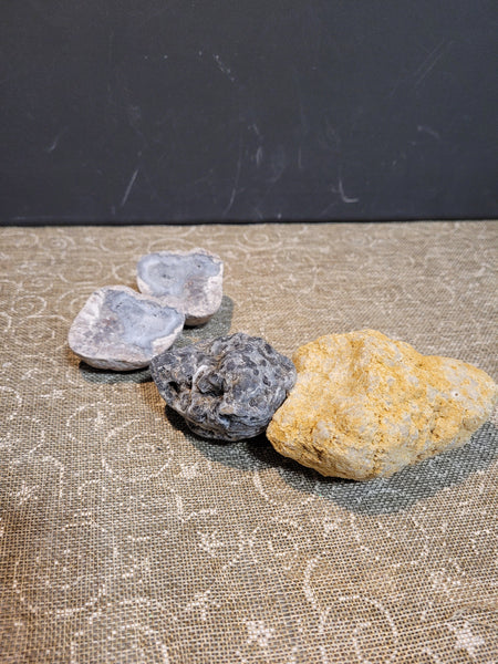 16667 June 10th 2025 Live