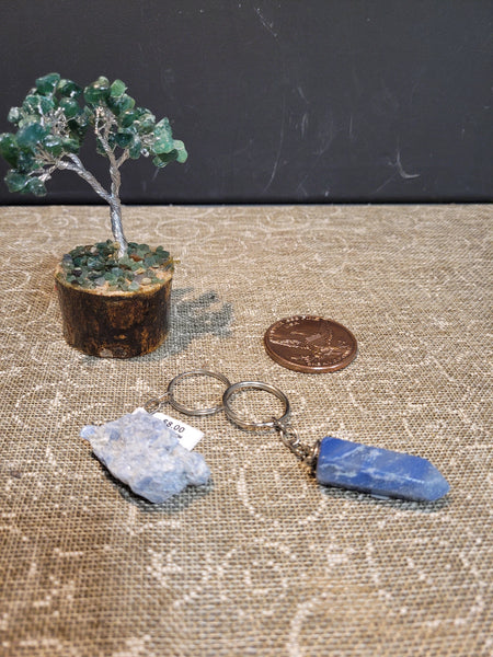 delicate.dandilion June 11th 2025 Live