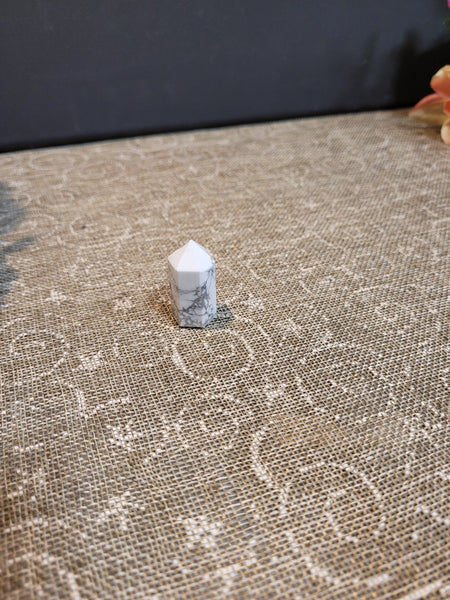 16667 June 14th 2025 Live