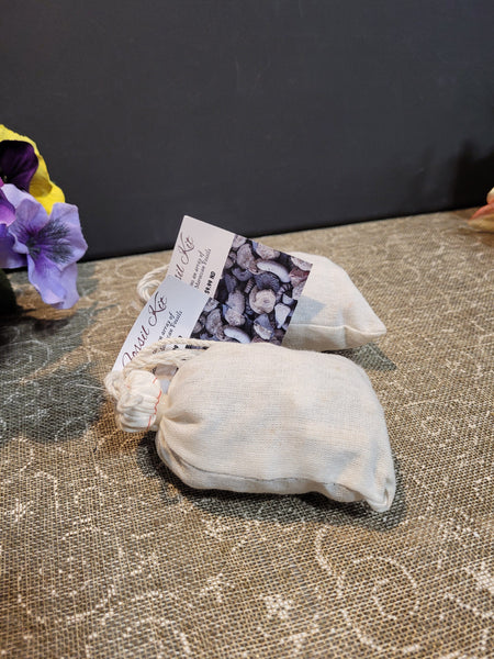 16769 June 14th 2025 Live