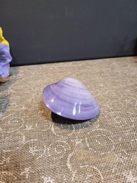 rimarocksboutique June 13th 2025 Live