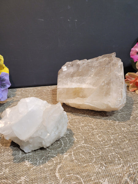 16535 June 14th 2025 Live