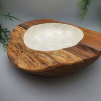 Large Decorative Abalone Shell and Wood Dish