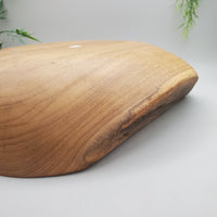 Large Decorative Abalone Shell and Wood Dish