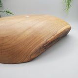 Large Decorative Abalone Shell and Wood Dish