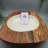 Large Decorative Abalone Shell and Wood Dish