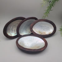 Decorative Shell and Wood Dish