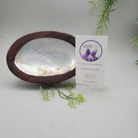 Decorative Shell and Wood Dish