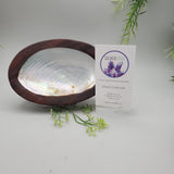 Decorative Shell and Wood Dish