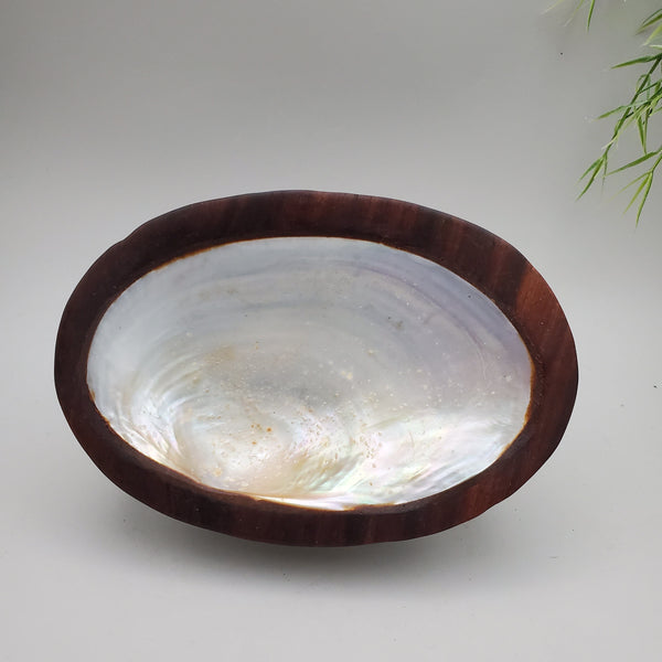 Decorative Shell and Wood Dish