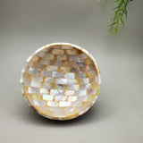 Decorative Shell and Wood