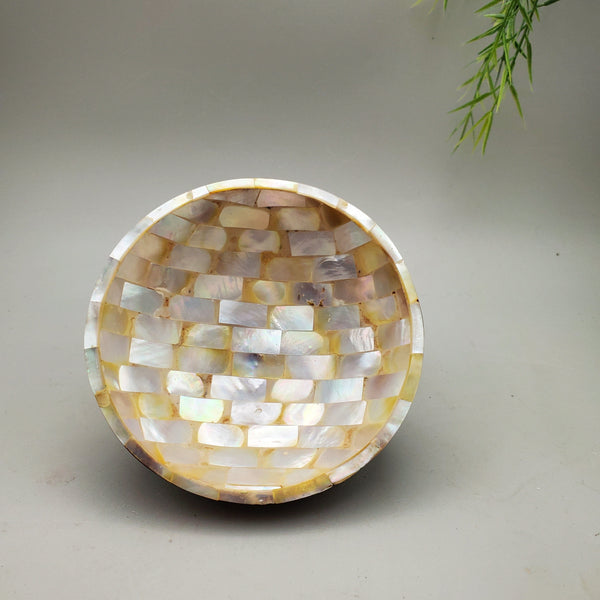 Decorative Shell and Wood