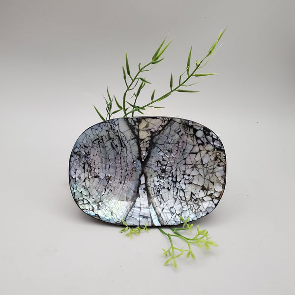 Decorative Abalone Shell Dish