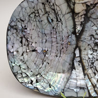 Decorative Abalone Shell Dish