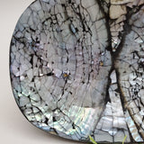 Decorative Abalone Shell Dish