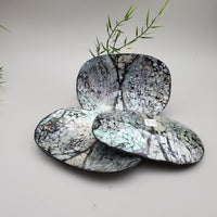 Decorative Abalone Shell Dish