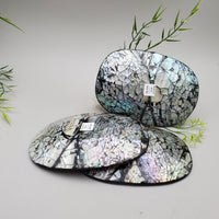 Decorative Abalone Shell Dish