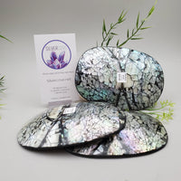 Decorative Abalone Shell Dish