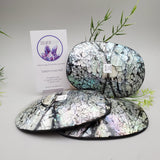 Decorative Abalone Shell Dish