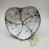Decorative Abalone Shell Dish