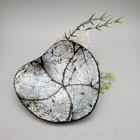 Decorative Abalone Shell Dish