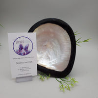 Decorative Shell and Wood Dish