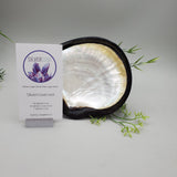 Decorative Shell and Wood Dish