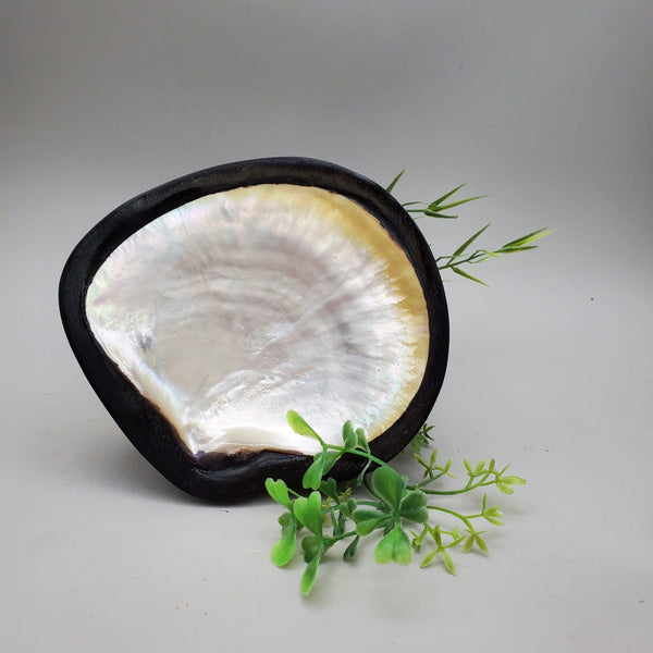 Decorative Shell and Wood Dish