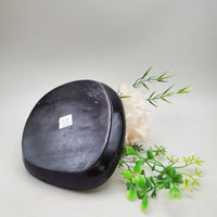 Decorative Shell and Wood Dish