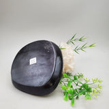 Decorative Shell and Wood Dish