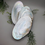 Decorative Half Clam Shell Dish