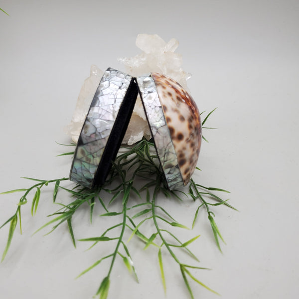 Tiger Cowrie and Abalone Shell Trinket Box