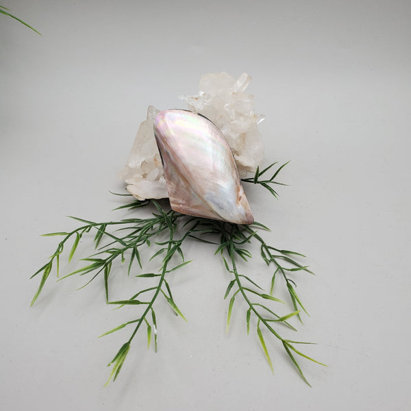 Mother Of Pearl, Shell Trinket Box