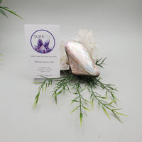 Mother Of Pearl, Shell Trinket Box