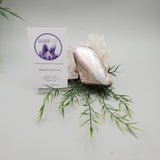Mother Of Pearl, Shell Trinket Box