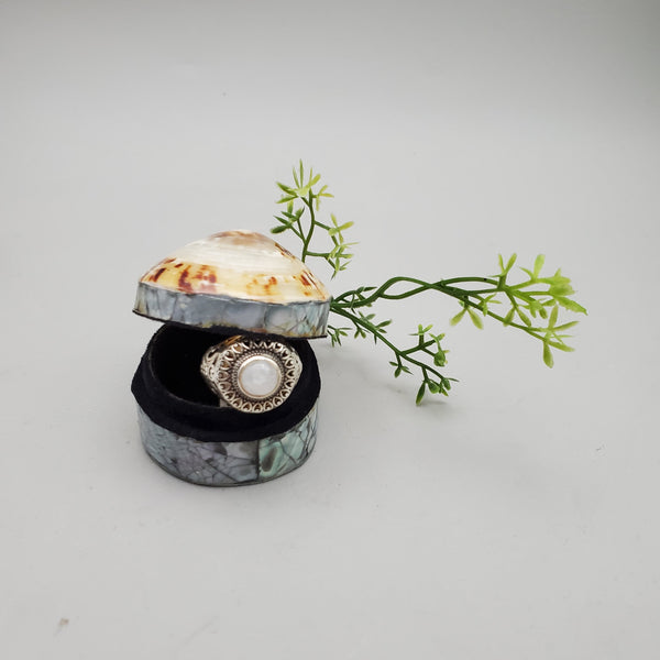 Limpet and Abalone Shell Trinket Box