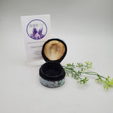 Limpet and Abalone Shell Trinket Box