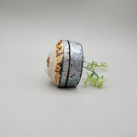 Limpet and Abalone Shell Trinket Box