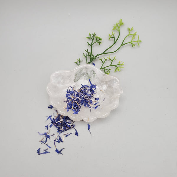 Loose, Dried Blue Corn Flower