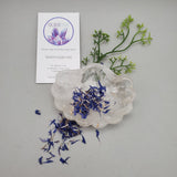 Loose, Dried Blue Corn Flower