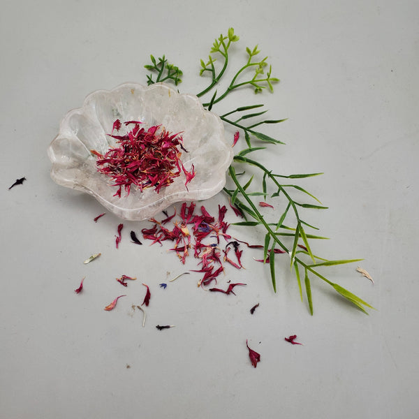 Loose, Dried Pink Corn Flower